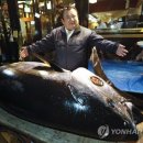 열린참치 이미지