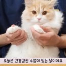 애목장 네이버블로그