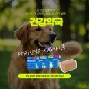 담양동물약국 이미지