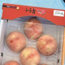 막골농장 이미지