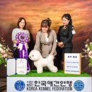 올웨이즈 반려견 미용실 이미지