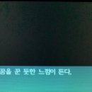 루시모드