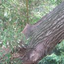 영신마을 이미지