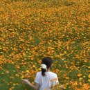 남해군창선보건지소 이미지