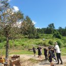 해피농장 이미지