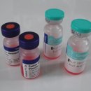 충남켄넬 이미지