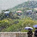 단골전집 이미지