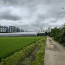 호국로627번길 이미지