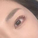보네르 브로우