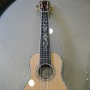 톡톡 우쿨렐레 이미지