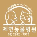 제연동물병원 이미지