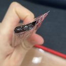 보화약국 | 경옥고 후기(한풍 경옥고 / 보화 경옥고)
