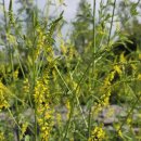 한스행정사사무소 이미지