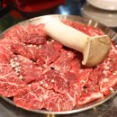 수아리아리애견 이미지