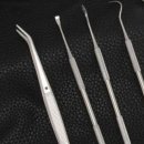 애견의 집 이미지