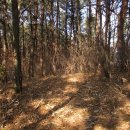 궁류면사무소 이미지