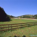 시원목장 이미지