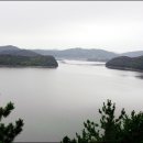 경상남도수목원(수생식물원) 이미지