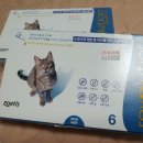 365화목약국 | 내돈내산) 레볼루션 싸게 사는법, 아현종로약국 영업시간