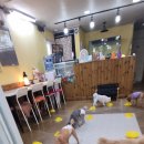 독스호텔리어 이미지