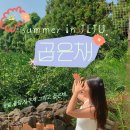 곱은채 | 제주 독채 풀빌라 곱은채 귤밭뷰 야외온수자쿠지 동쪽 감성숙소 솔직후기