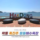 거제도 해수욕장 파도와 몽돌이 만드는 학동흑진주몽돌해변 개장일 및 방문 꿀팁