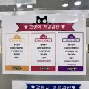 송림동물병원 이미지