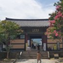 한옥마을주유소 | 양산 통도사 불상 없는 대웅전 계곡 근처 카페 맛집