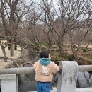 미디어 | 전북 고창 선운사 산책 코스계곡 산책 + 선운미디어갤러리 함께 보기 좋은 여행 코스