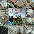 맛나는대게 티스토리