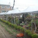 유원농장 이미지