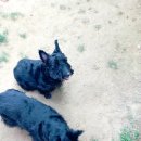 아토농장 이미지