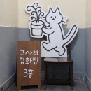 공주-39 | 공주에서 제일 유명한 소품샵 두 곳, 고사리잡화점과 단편선 후기