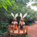 동화속이야기 | 동화 속 마을 체험 여행 후기