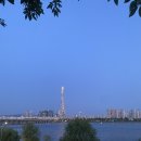 보드론 - 중구 남대문시장4길 3 | 2024 한강불빛공연 카카오 콜라보 춘식이 드론쇼, 잠실 건너편 또다른 명당자리 발견하고 관람한 후기