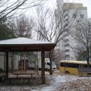 장원초교 이미지