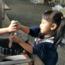 정인아트어린이집 이미지