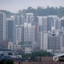수원삼성부동산공인중개사사무소 이미지