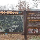 금병산 누리길 이미지