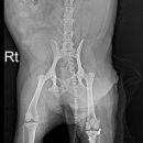대현동물병원 이미지