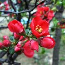 베스트샷 이미지