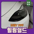 힐링쉴드스토어 | 테슬라 모델Y 헤드라이트 PPF 힐링쉴드 셀프 후기!