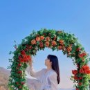 하탐베이커리 네이버블로그