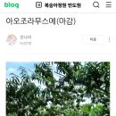 용연농산물