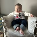 [육아일기] D+188~194 졸리점퍼매니아,뭐든지입으로,소리나는쪽쳐다보기,에듀테이블,이놈하면울어요..
