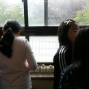 대구욱수초등학교 이미지