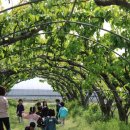 한얼목장 이미지