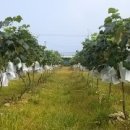 광탄농장 이미지