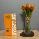 (주)고루고루 온라인스토어 | 염색약] 모벨로 새치커버 저자극 천연 염색약 사용후기 (염색약, 물염색, 새치염색, 물염색약 강력추천)