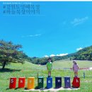 늘목장 | 강원도 대관령하늘목장 아이와 가볼만한 곳